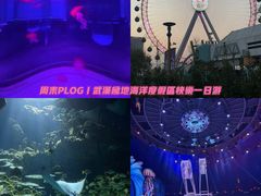 -海合安武汉极地海洋公园