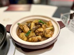 -侨美·唐荔园·40年地道粤菜