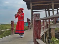 -北海金海湾红树林生态旅游区