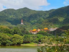 -深圳仙湖植物园