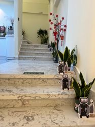 -海涛医疗美容·面部抗衰·注射美鼻