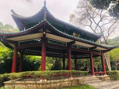 -柳侯公园