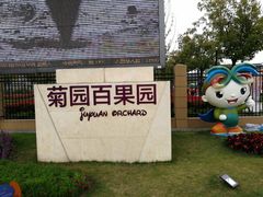 -菊园百果园