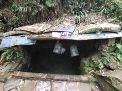 -南山植物园