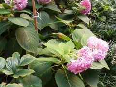 -玉林生活广场