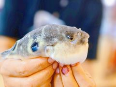 -观桥阁(锦溪店)