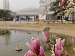 -国家植物园南园