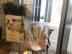 -邓肯舞蹈教育(深圳湾教学中心)