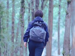 -四门塔风景区