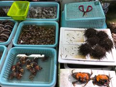 -南沙十九涌渔人码头-南门