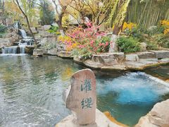 -趵突泉景区