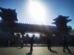 -金城公园