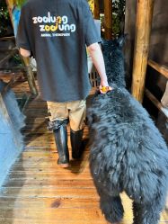 -Zoolung Zoolung动物主题公园(海信广场店)