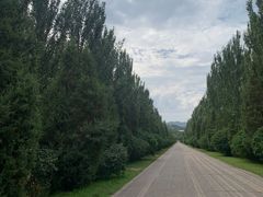 -乌素图国家森林公园