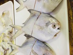 小白鲳-肥婆麻辣火锅.顺德首创药材麻辣火锅(容桂店)