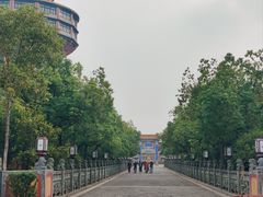 -高旻寺