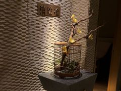 -浅深(北京北四环精品店)