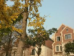 android_upload_pic-新江湾城公园