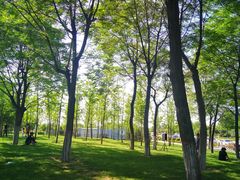 -洨河生态公园