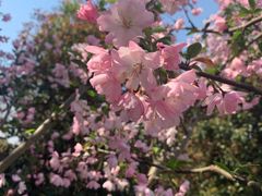 -西贝莜面村(上海百联西郊店)