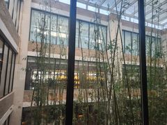 -真爱年华水疗健康运动中心(朱雀大街店)