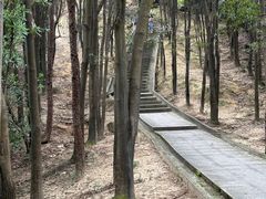 -火炉山森林公园