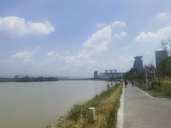 -灞河西岸滨河公园