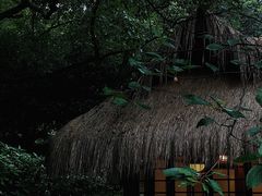 -中国茶叶博物馆(双峰馆区)