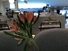 -PAUL LAFAYET 法式甜品(深圳湾万象城店)