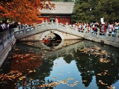 -香山公园