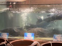 -上名堂·鱼头好吃(体育场路店)