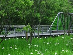 -西湖风景区-江洋畈生态公园
