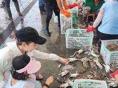 -吕四渔港码头海鲜餐厅