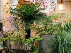 -蝶舍·MAISON PAPILLON