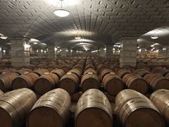 -紫轩葡萄酒庄园