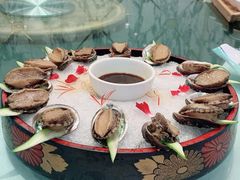 卤水刺身素冰鲍拼盘-皇宫大酒店