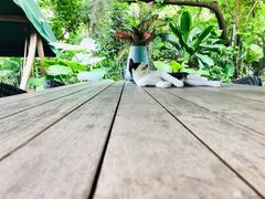 景观位-T館·花园艺术餐厅