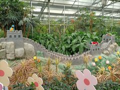 -南宫五洲植物乐园