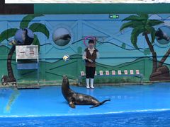 -石家庄极地海洋世界
