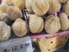 -红星农博物流中心