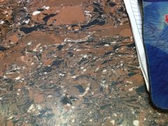 -李先生牛肉面(长春红旗街店)