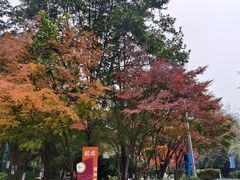 -龙头寺公园