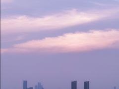 -瑶湖郊野森林公园