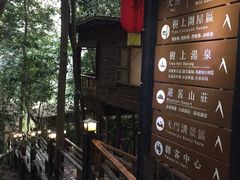 -天门沟九州驿站树上汤泉