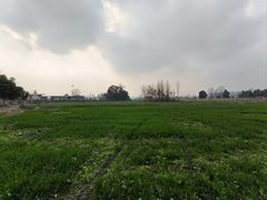 -蜀绣公园