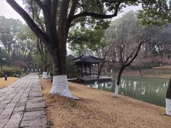 -上海方塔园