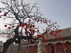 -颐和园