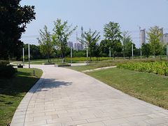 -九里河湿地公园