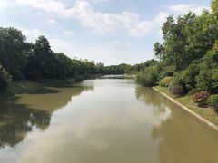 -上海海湾国家森林公园