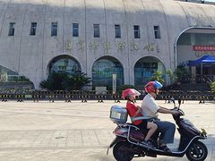 -自贡恐龙博物馆